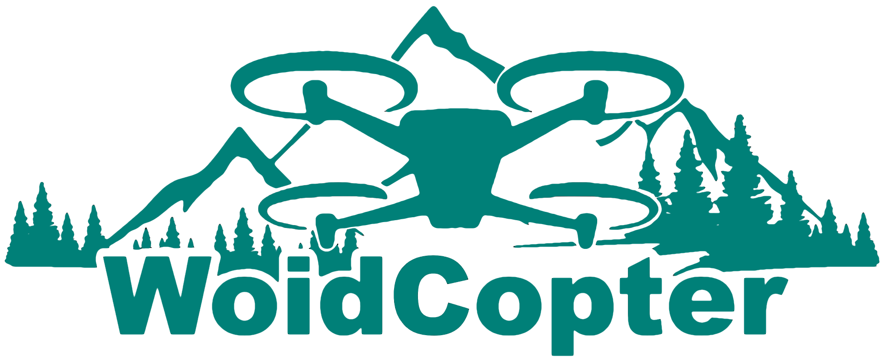 Test Seite Woidcopter logo
